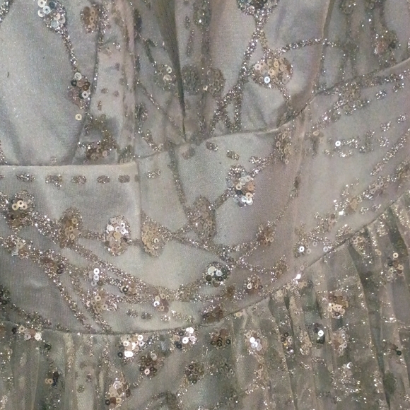 Silver Sequin Dress - Picture 3 of 4